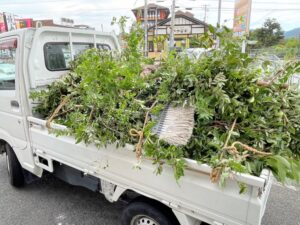 解体工事 大阪 解体業者