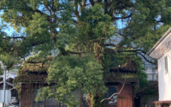 解体工事 大阪 解体業者