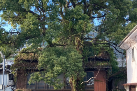 解体工事 大阪 解体業者