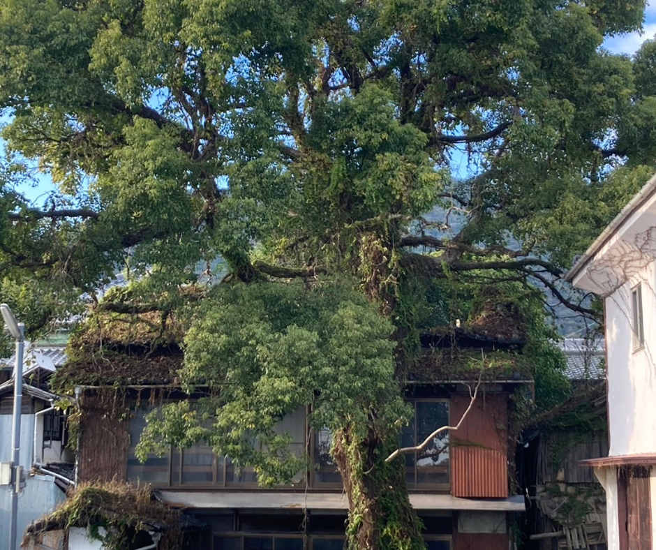 解体工事 大阪 解体業者